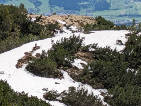 Bild von Claus Wolkewitz