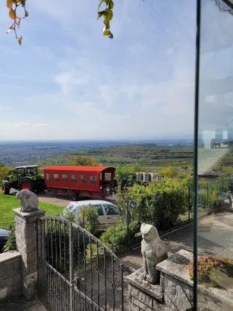 Bild von undefined