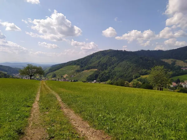 Bild von undefined
