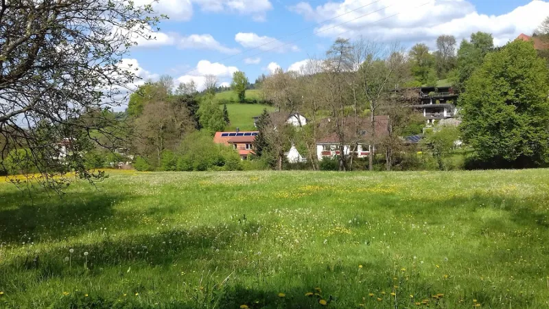 Bild von undefined