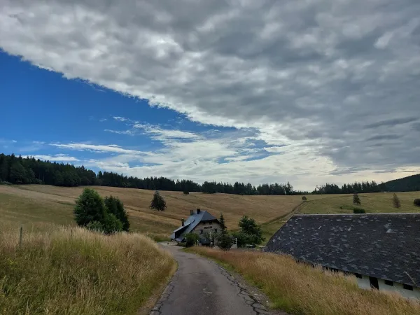 Bild von undefined