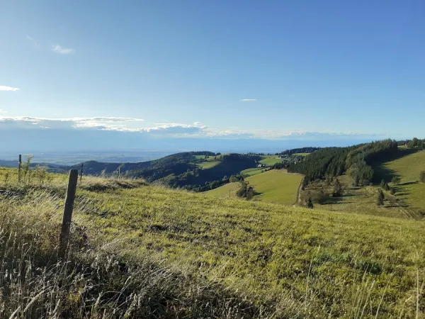 Bild von undefined