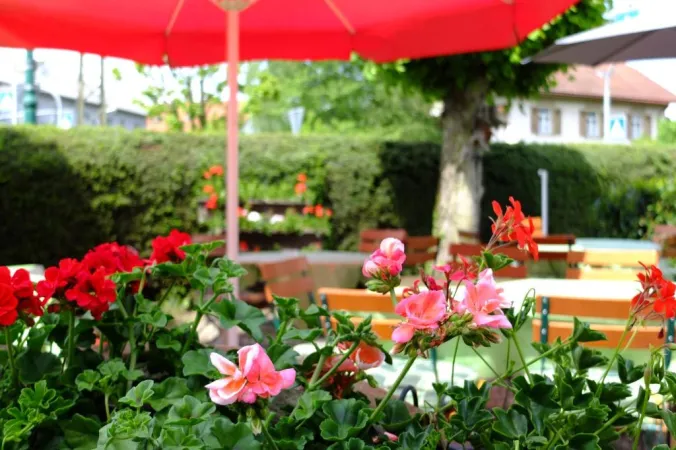 Bild von undefined