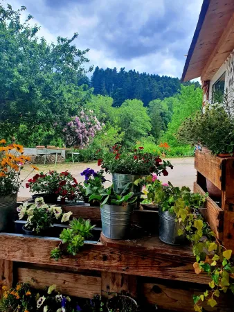 Bild von undefined
