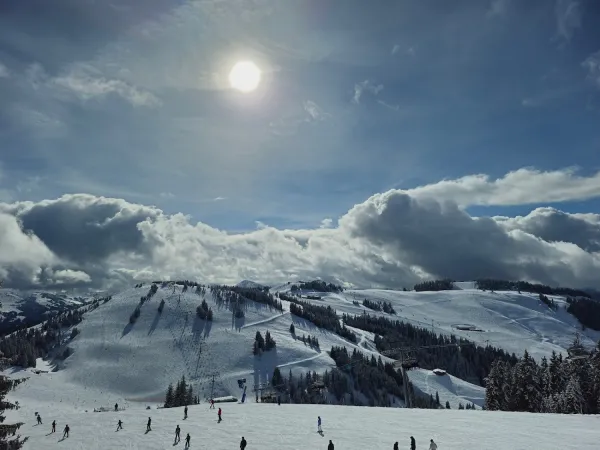 Bild von Koen Benders