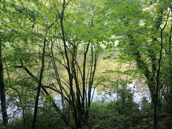 Bild von undefined