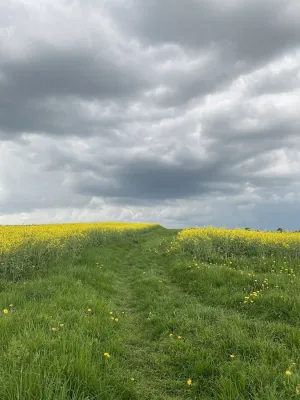 Fischerheim am Linsenbergweiher