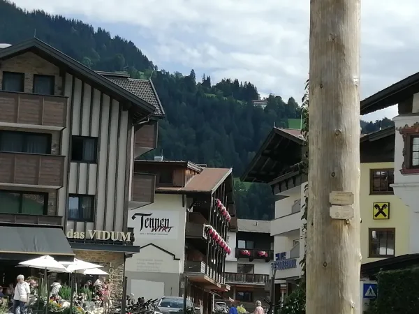 Bild von Johannes Steidl