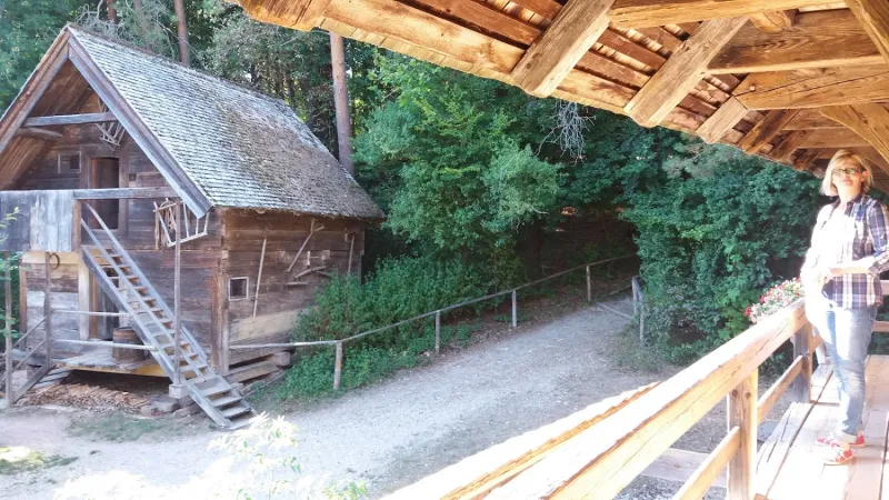 Bild von undefined