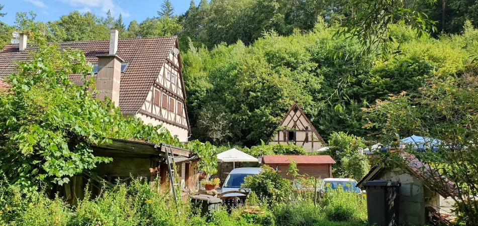 Bild von undefined