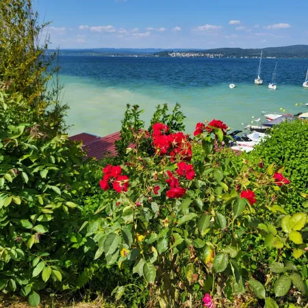 Bild von undefined