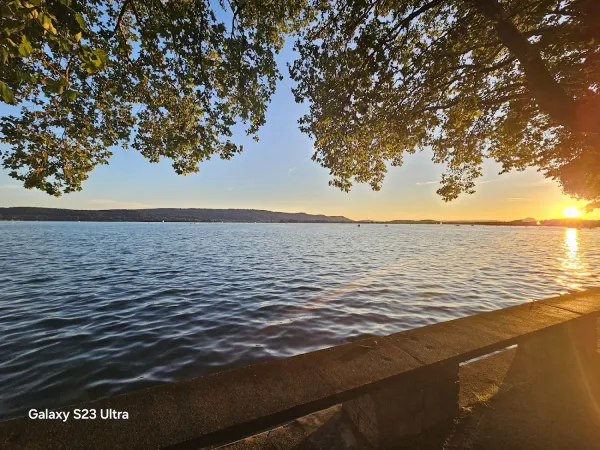 Bild von undefined