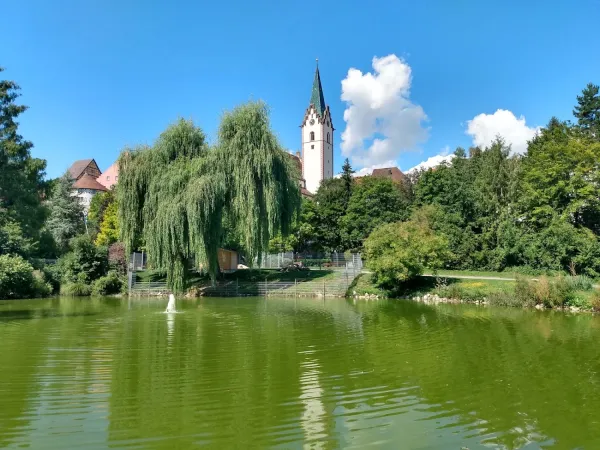 Bild von undefined