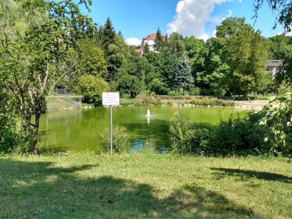 Bild von undefined