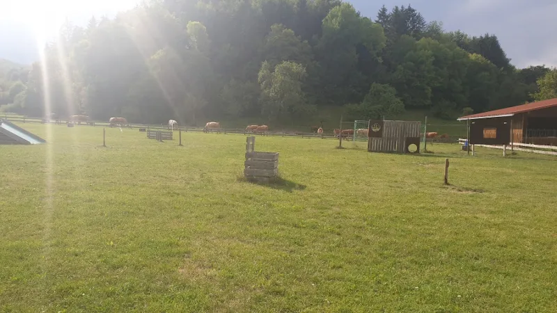 Bild von undefined