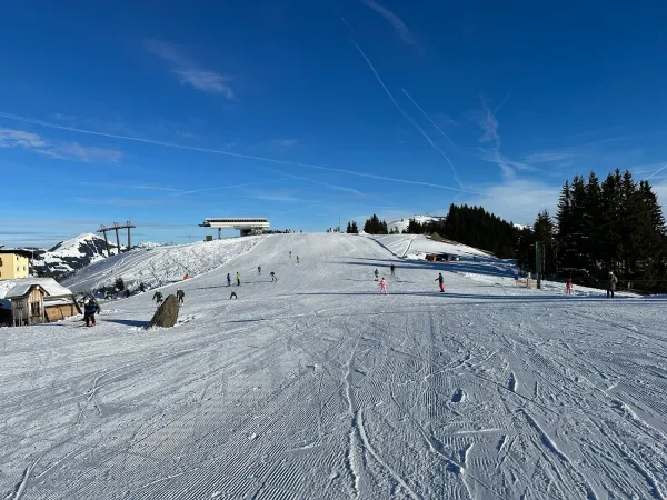 Bild von Remy Wiersma