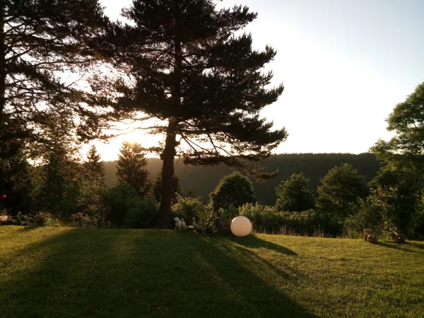 Bild von undefined