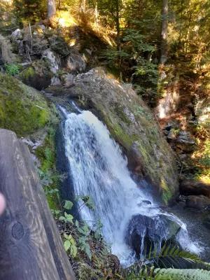 Zur Stadt Triberg