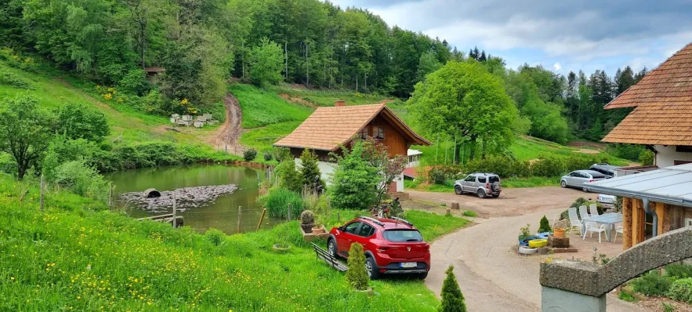 Bild von undefined