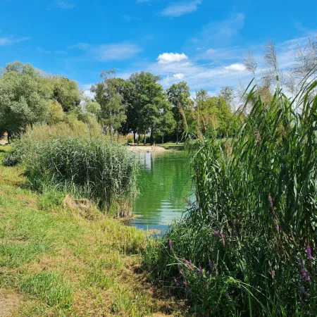 Bild von undefined