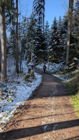 Bild von Café & Restaurant Waldcafé
