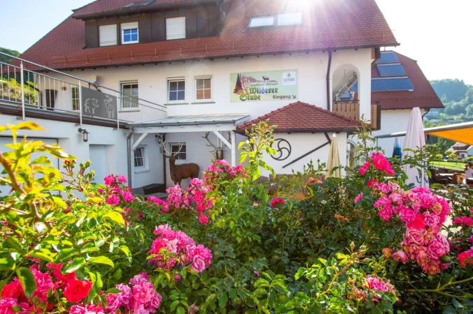Bild von undefined