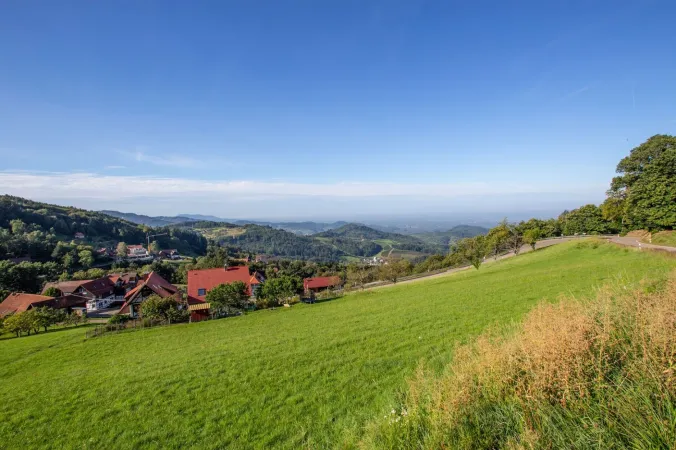 Bild von undefined