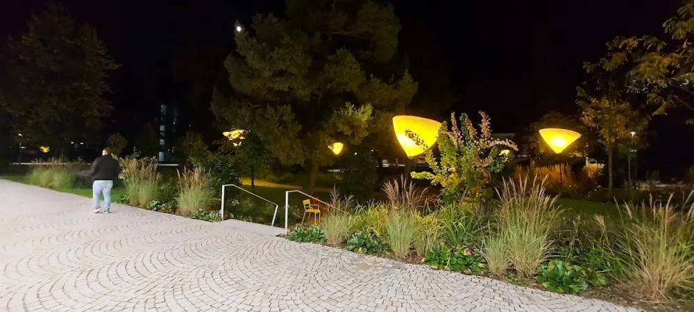 Bild von Petra STADIK
