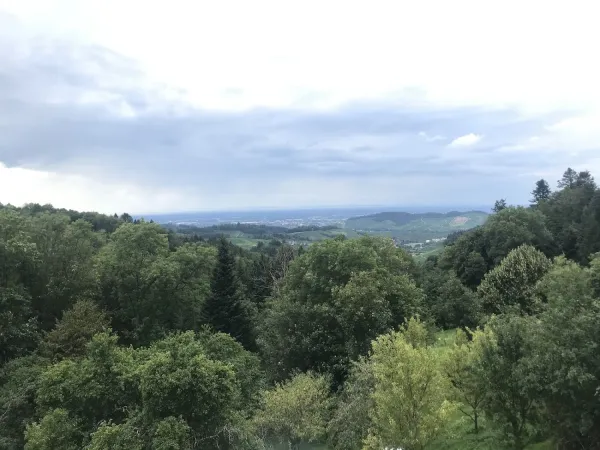 Bild von undefined