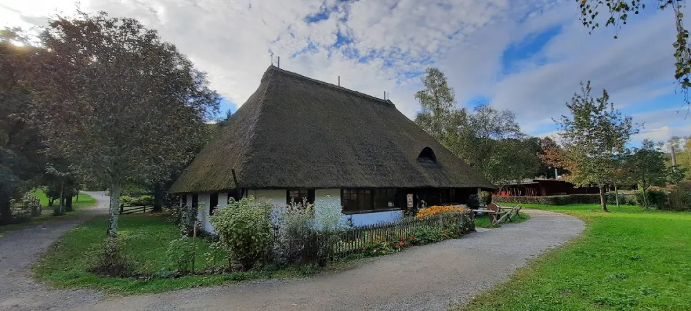 Bild von undefined