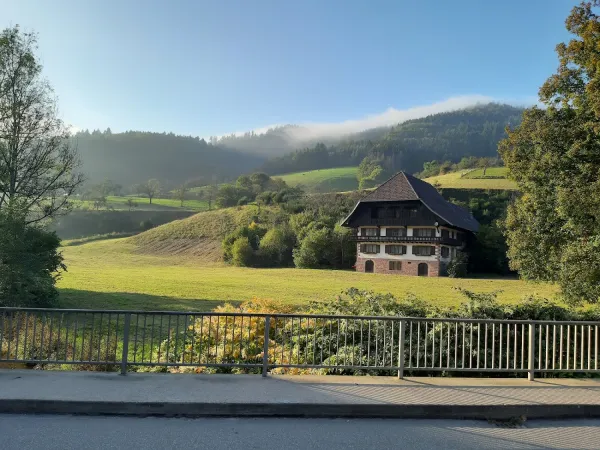 Bild von undefined