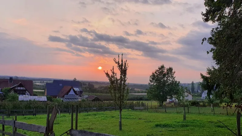 Bild von undefined