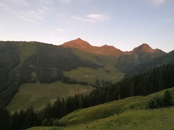 Bild von Gasthof Hornboden