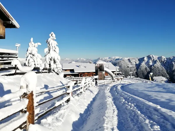 Bild von Gasthof Hornboden
