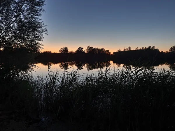 Bild von undefined
