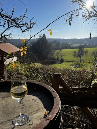 Bild von Weinhof Rupp