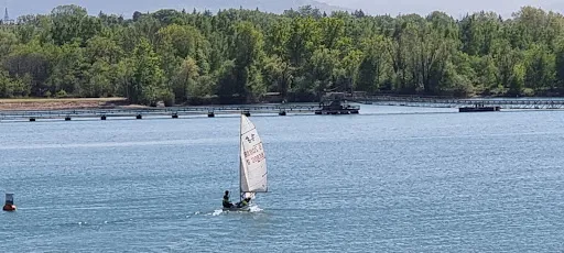 Bild von Seegugger