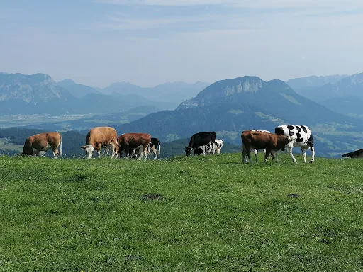 Bild von Marchbachjochalm