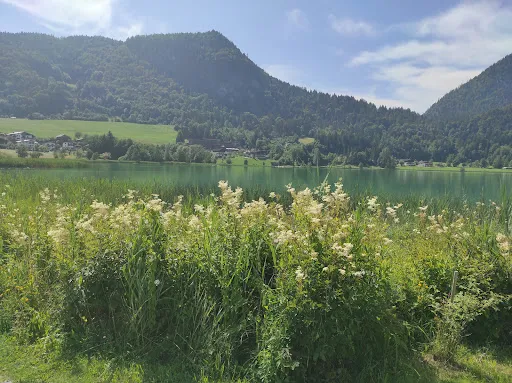 Bild von MioMondo Restaurant