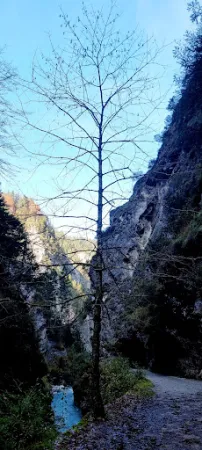 Bild von Testa Rossa Kundl