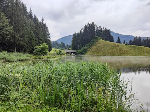 Bild von Gasthaus Moorsee