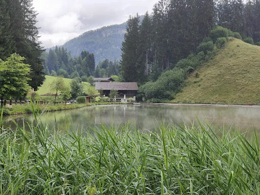 Bild von Gasthaus Moorsee