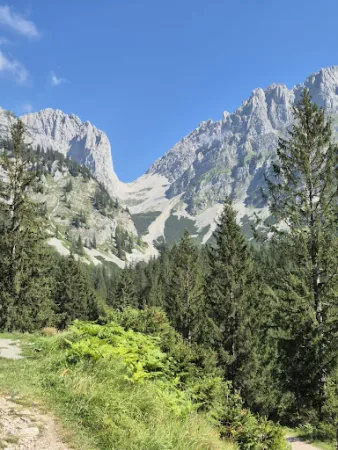 Bild von Wochenbrunner Alm