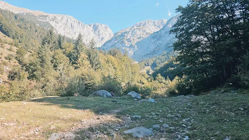 Bild von Kaiseralm, bewirtschaftet