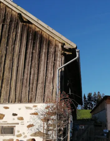Bild von Gasthaus zur Gis