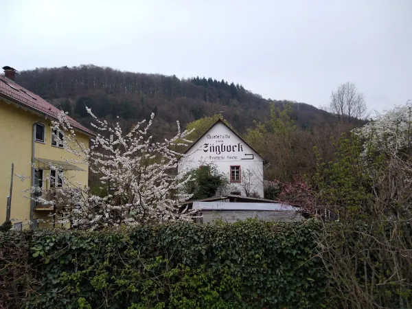 Bild von undefined