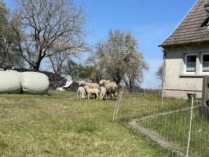 Gaststätte "Zum Lamm"