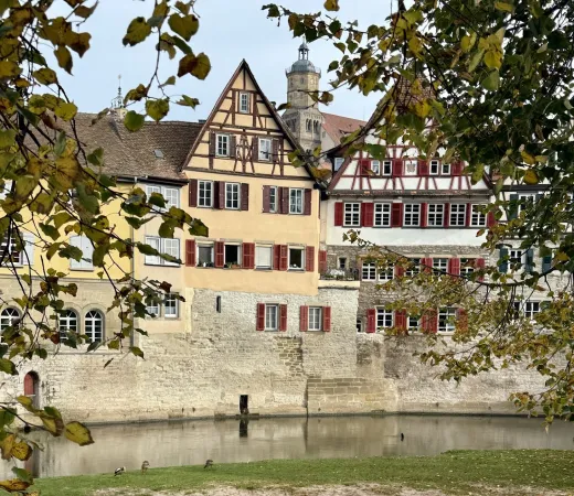 Bild von undefined