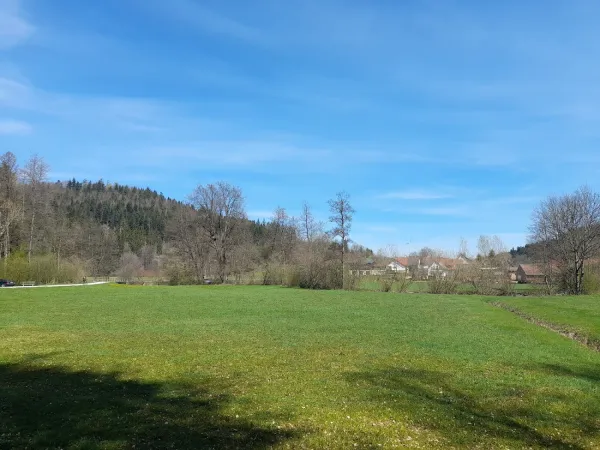 Bild von undefined