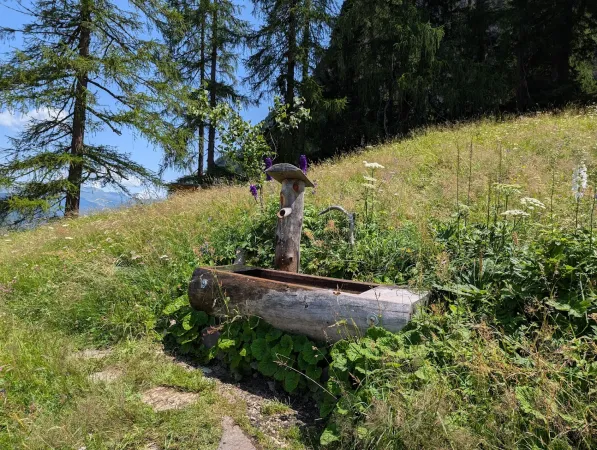Bild von Patrick Grosse
